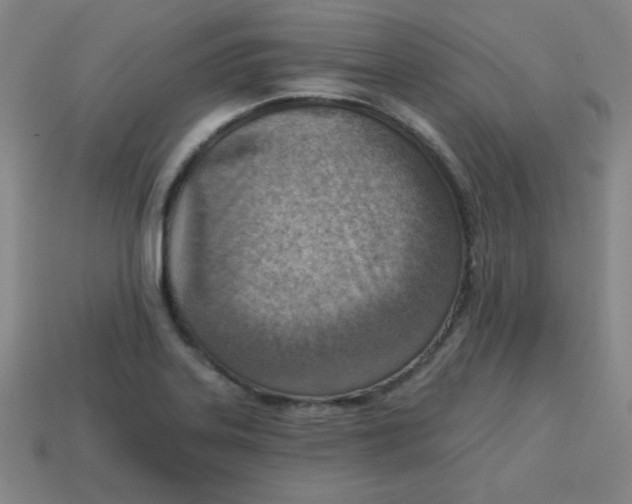 X0000113741323200910140955