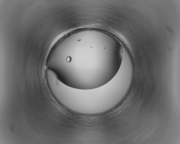 X0000113741324200910140955