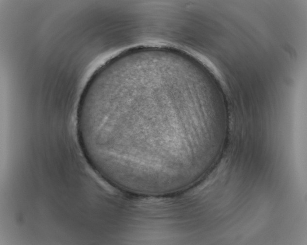 X0000113741327200910140955