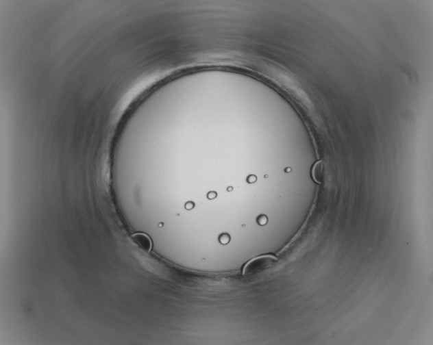 X0000113741328200910140955