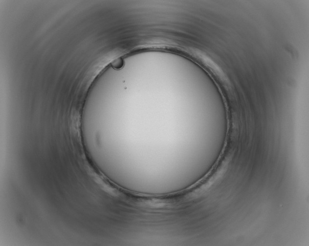 X0000113741329200910140955