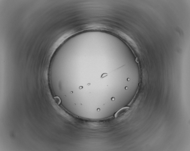 X0000113741330200910140955