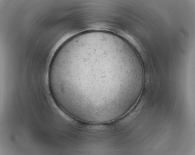 X0000113741331200910140955