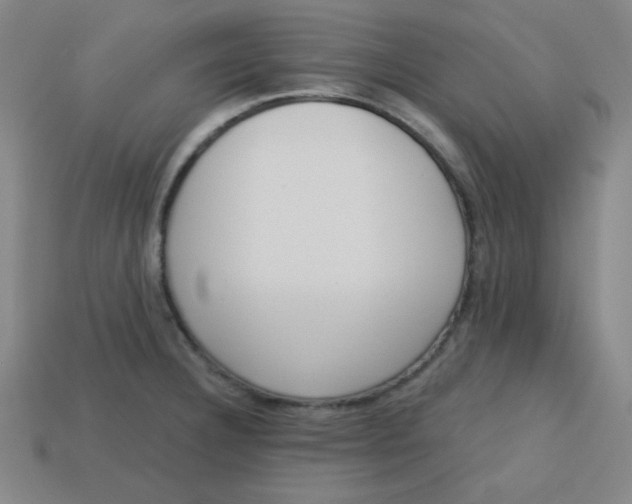 X0000113741332200910140955