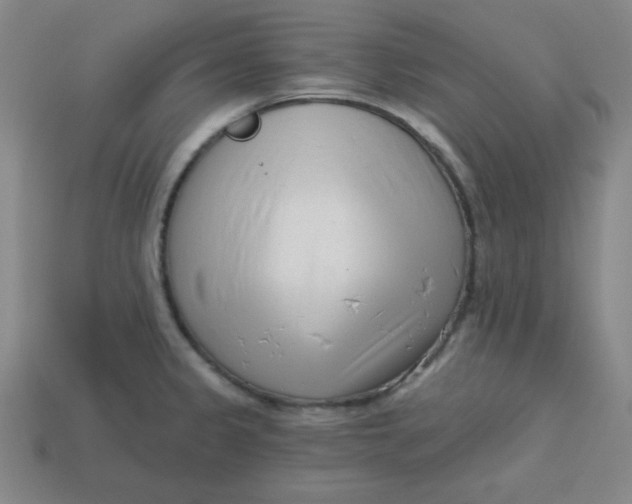 X0000113741333200910140955