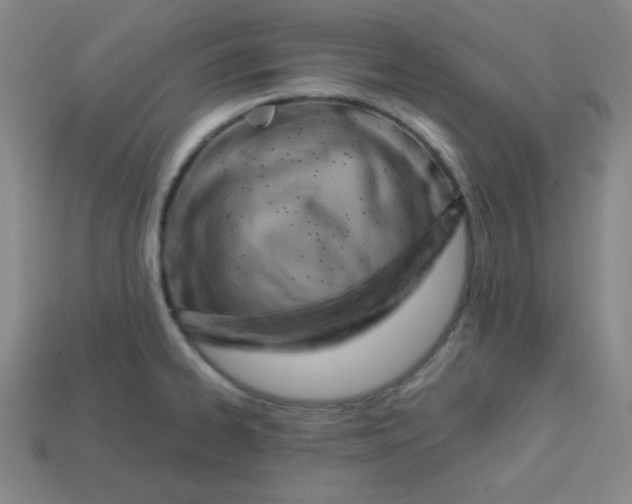 X0000113741334200910140955