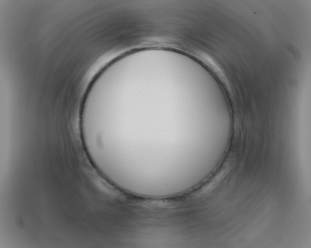 X0000113741336200910140955