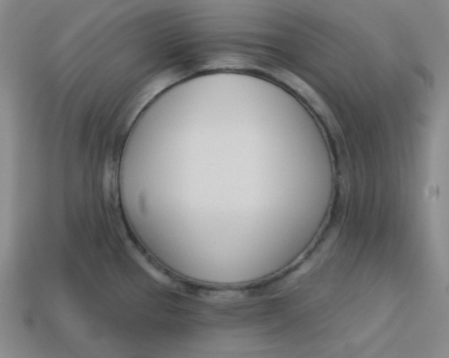 X0000113741337200910140955