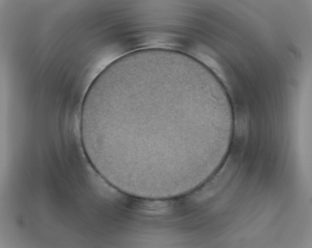 X0000113741338200910140955