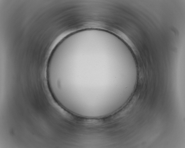 X0000113741339200910140955