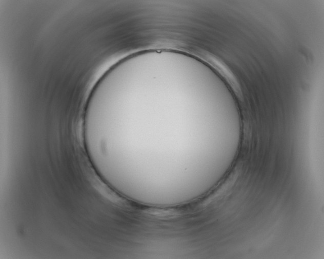 X0000113741340200910140955