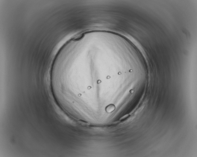 X0000113741341200910140955