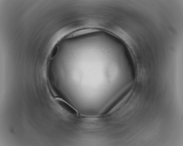 X0000113741342200910140955