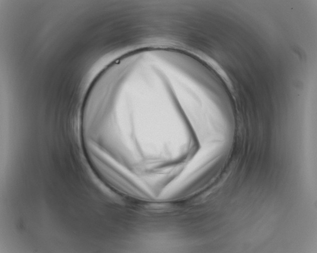 X0000113741343200910140955