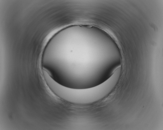 X0000113741344200910140955