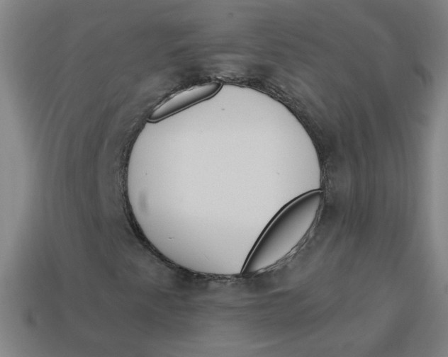 X0000113741345200910140955