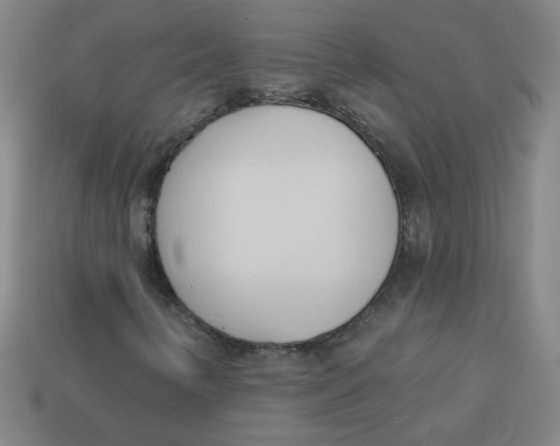 X0000113741346200910140955