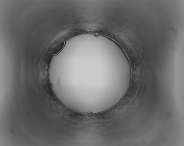 X0000113741349200910140955