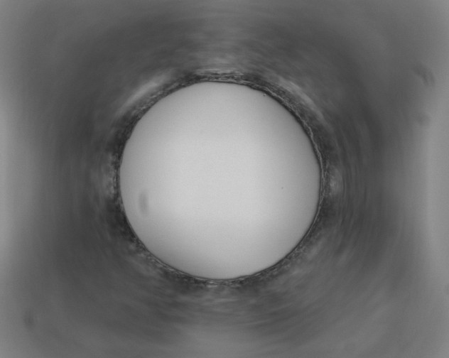 X0000113741350200910140955