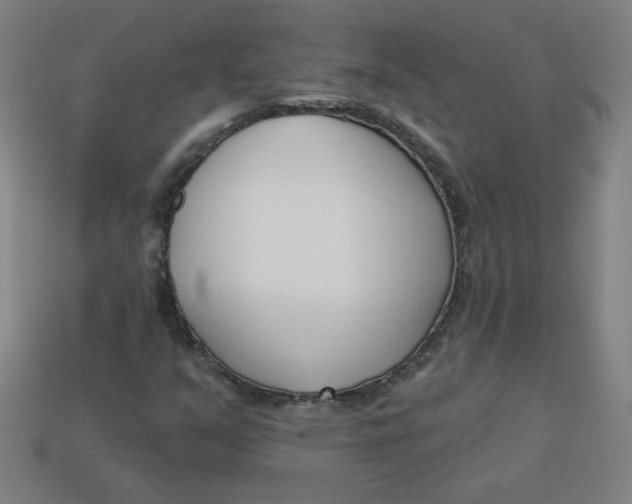 X0000113741351200910140955