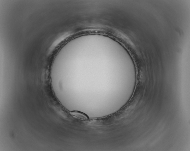 X0000113741352200910140955