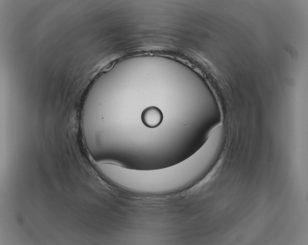 X0000113741353200910140955