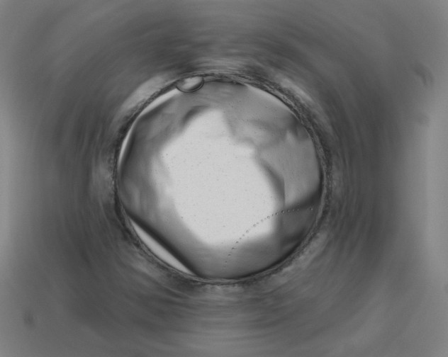 X0000113741354200910140955