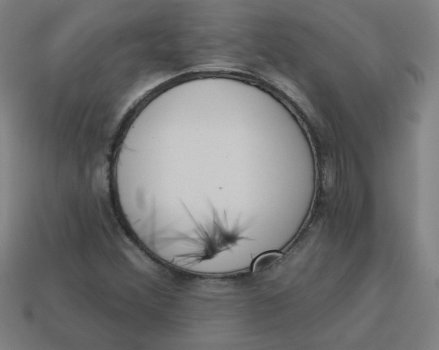 X0000113741356200910140955