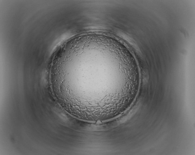 X0000113741357200910140955