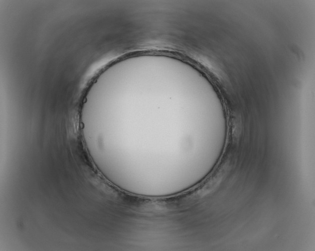 X0000113741358200910140955