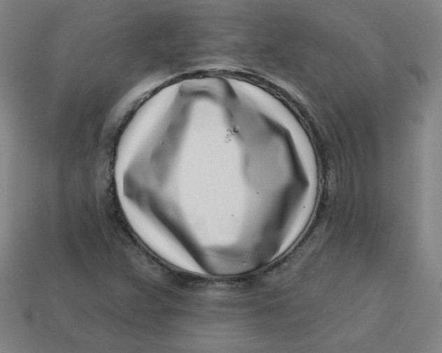 X0000113741359200910140955