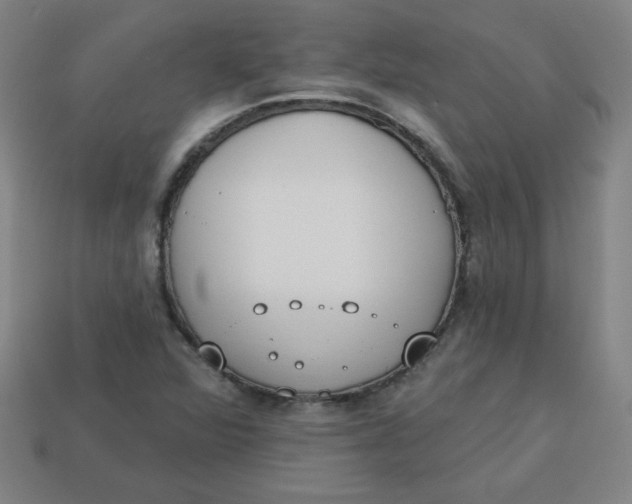 X0000113741360200910140955