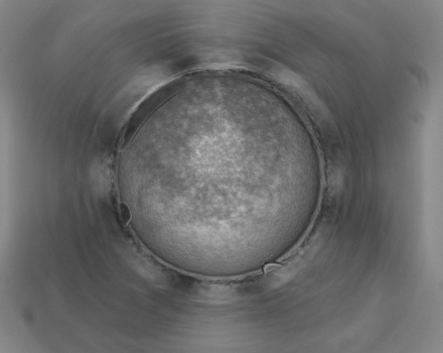 X0000113741361200910140955