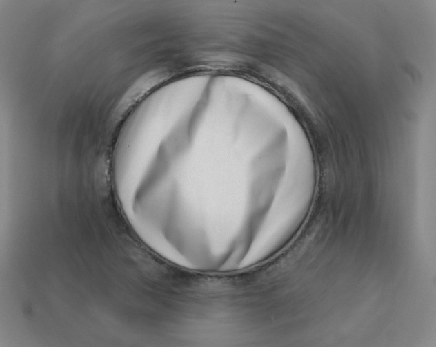 X0000113741362200910140955