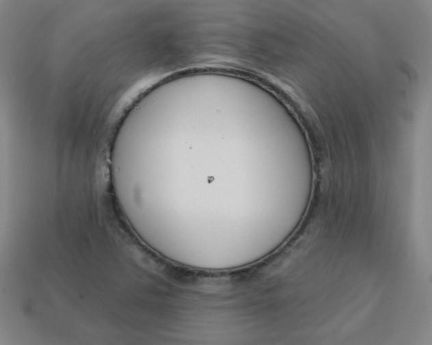 X0000113741363200910140955