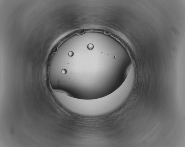 X0000113741364200910140955