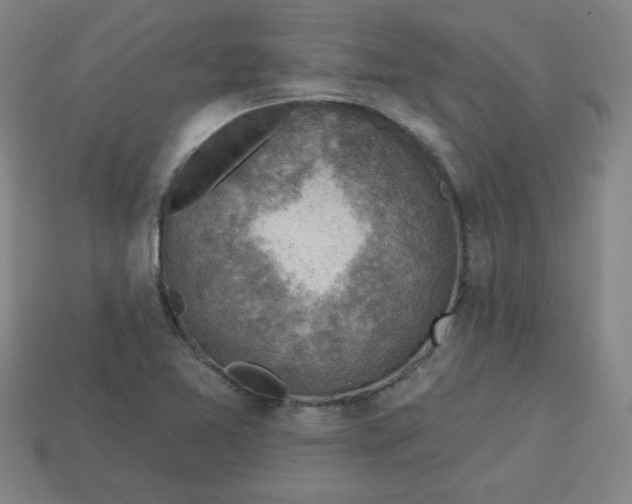 X0000113741365200910140955