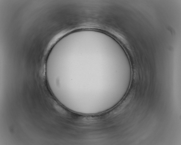 X0000113741366200910140954