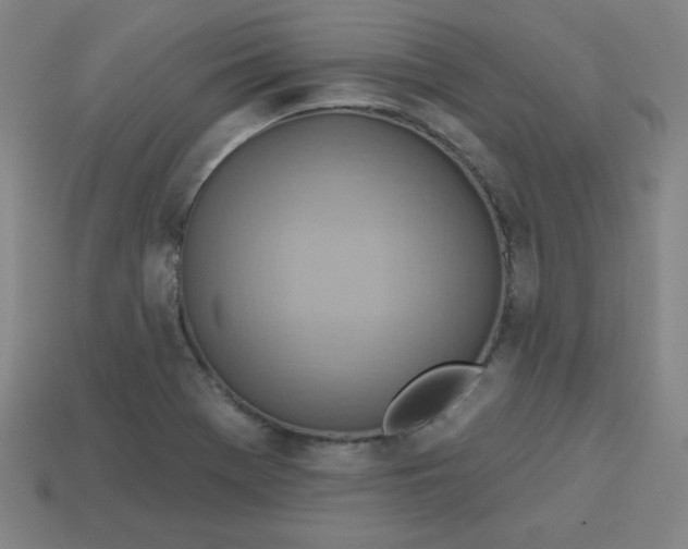 X0000113741369200910140954