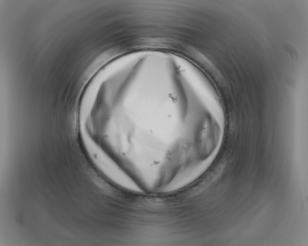 X0000113741370200910140954