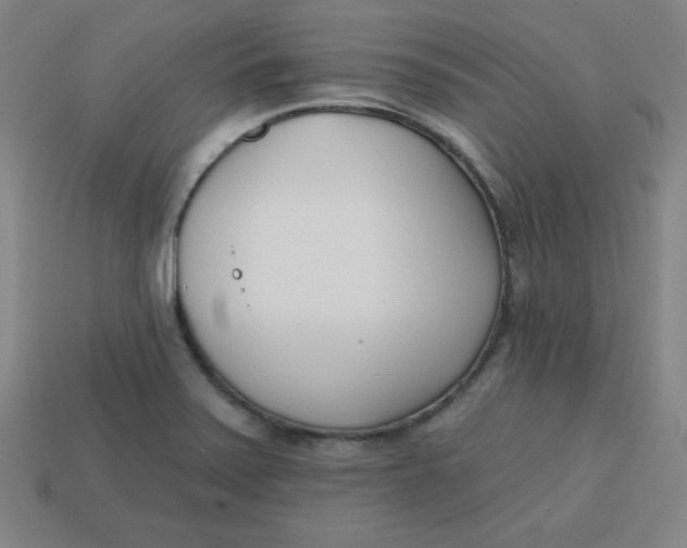 X0000113741371200910140954