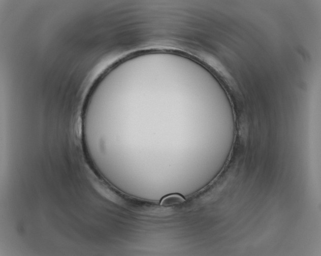 X0000113741372200910140954