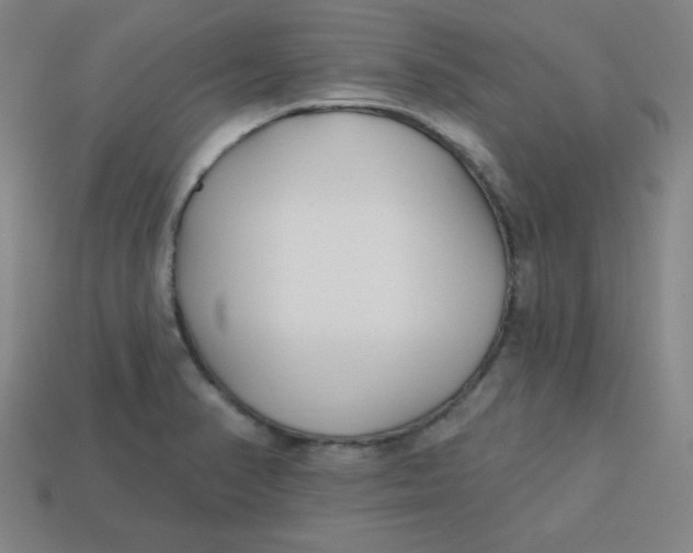 X0000113741374200910140954