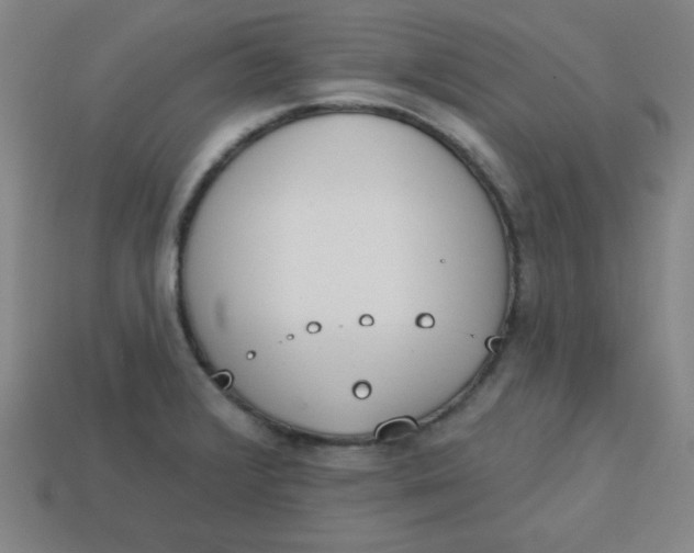 X0000113741376200910140954