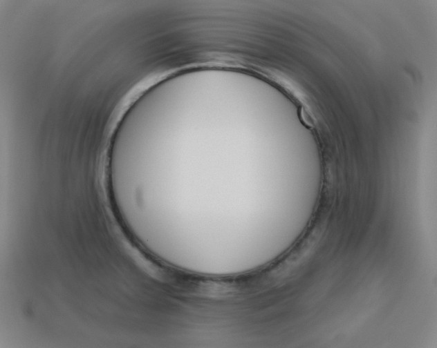 X0000113741379200910140954