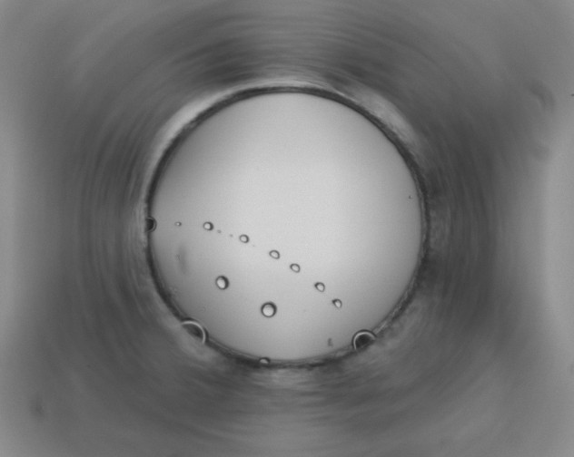 X0000113741380200910140954