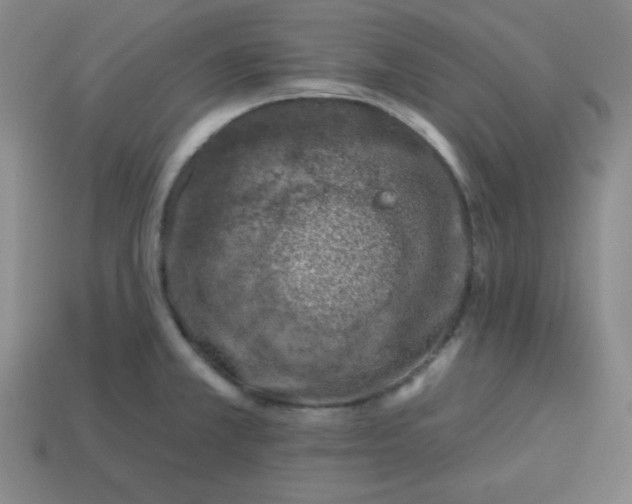 X0000113741381200910140954