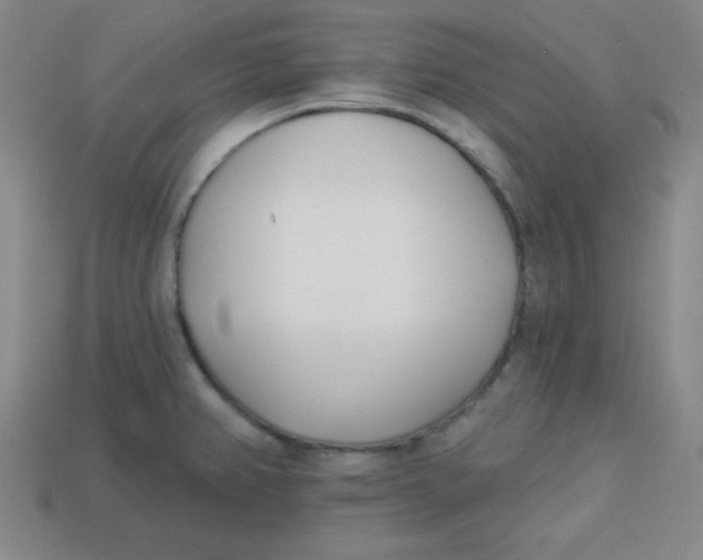 X0000113741382200910140954