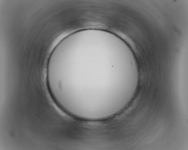 X0000113741383200910140954