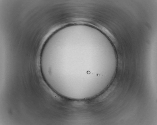 X0000113741384200910140954